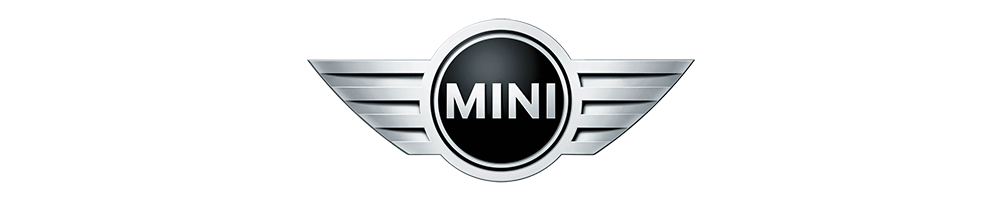 Specifieke kabelset voor de MINI SE F56 Electro Mini